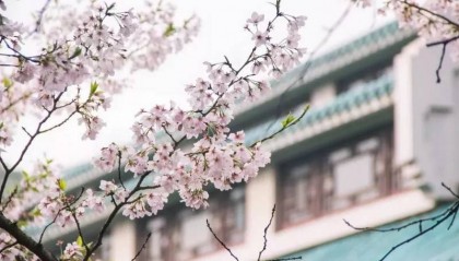 长春市电大中专一年制(新发布)