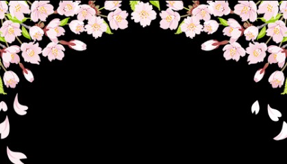 “半城江水半城花”系列报道④|优雅丁香:花瓣儿写意一座城