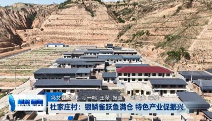 柳林杜家庄村：银鳞雀跃鱼满仓 特色产业促振兴