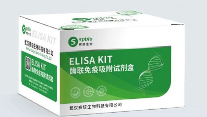人可溶性血管内皮生长因子受体1(sFlt-1)酶联免疫分析ELISA试剂盒使用说明