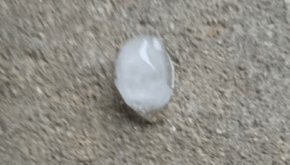 最新确认:今天清晨开始,影响青岛!将出现明显转折→