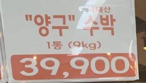 韩国一个西瓜卖173元人民币