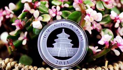 猫币(猫雨欣图片)