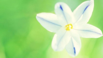 吉林省电大中专条件(新发布)