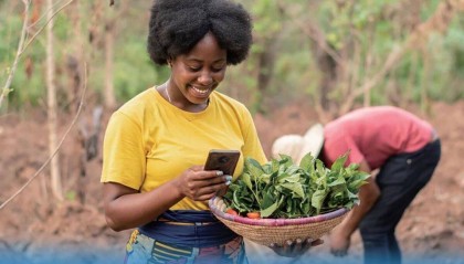 全球仍有31亿人用不起智能手机上网!