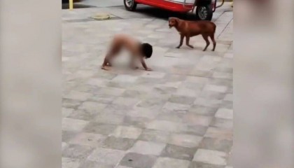 村民:“野人小孩”父亲上山“灵修”后就不正常了