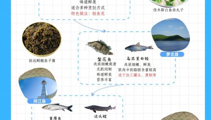 点赞！龙江冷水鱼｜看图找鱼 开江尝鲜