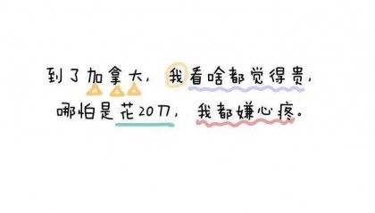 在加拿大消费,自带人民币滤镜。。