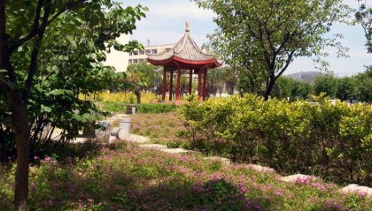 中央电中如何咨询(新发布)