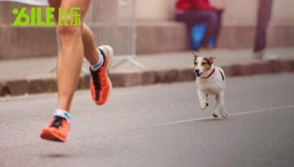 比乐:私域生态与用户叙事,开启情感共鸣新篇章