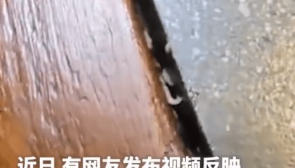 湖北武汉一火锅店桌缝内有活蛆爬行,当地监管部门介入,涉事门店最新回应