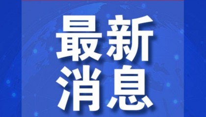 多国宣布:出动战机!