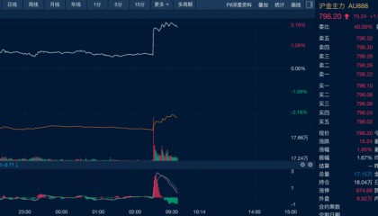 今天，双双大涨！