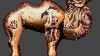 2020年，秦始皇陵陵西一号墓出土了“金骆驼”，来自始皇帝的惊喜