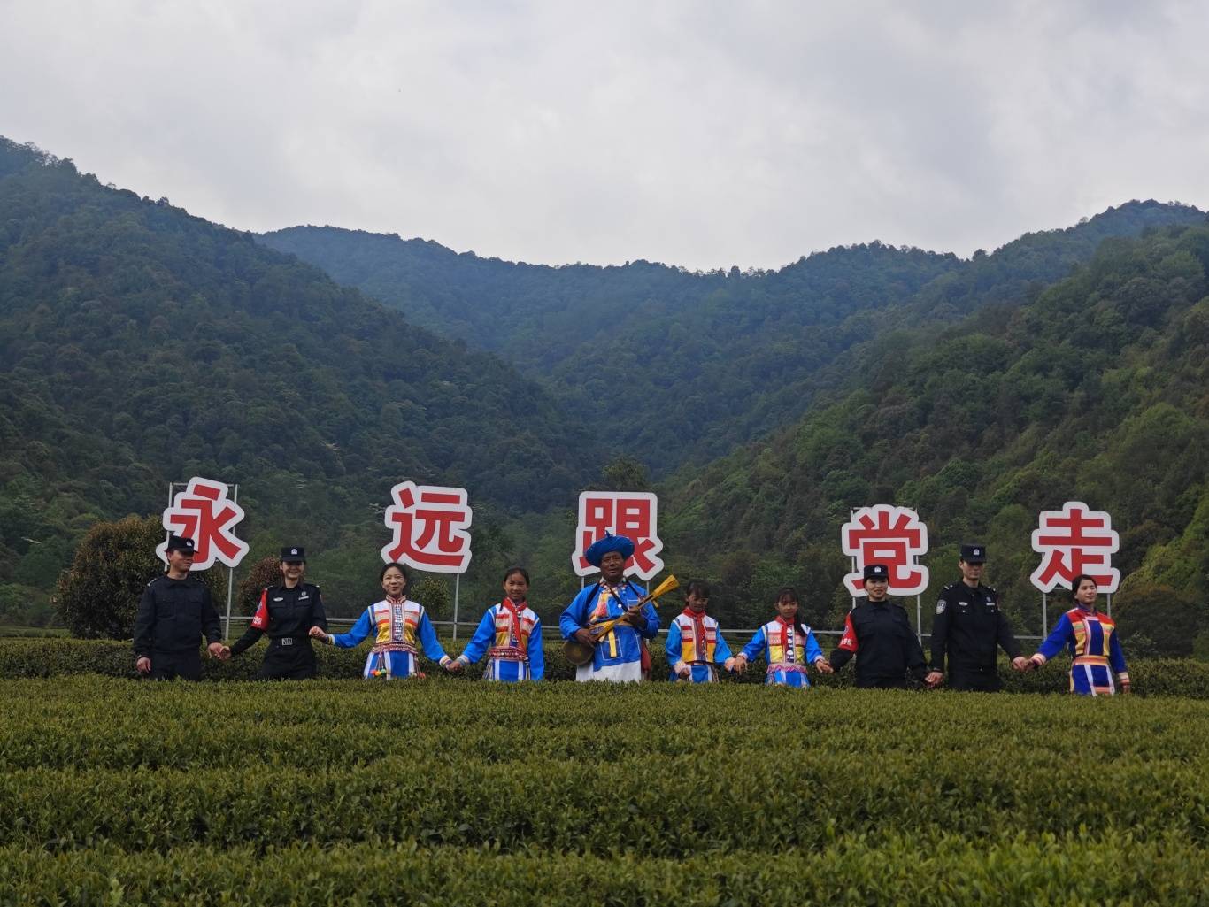 一杯高山乌龙茶的溯源