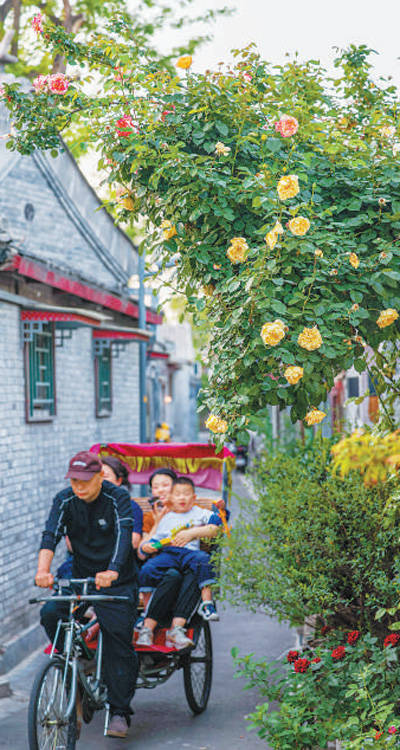 花开锦绣映京城（一朵花读懂一座城）