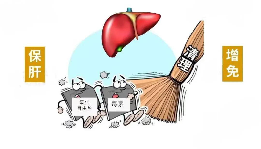 想要鱼长得好，又要鱼发病少，就要多注意鱼肝胆综合症！