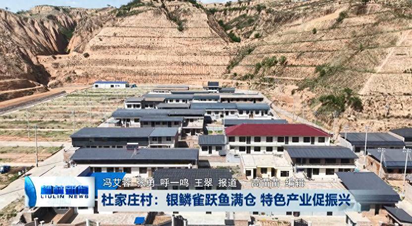 柳林杜家庄村：银鳞雀跃鱼满仓 特色产业促振兴