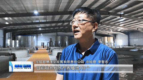 柳林杜家庄村：银鳞雀跃鱼满仓 特色产业促振兴