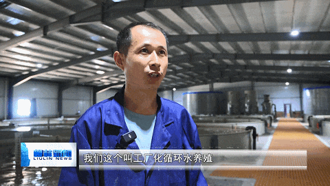 柳林杜家庄村：银鳞雀跃鱼满仓 特色产业促振兴