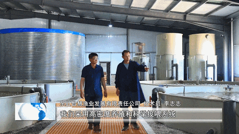柳林杜家庄村：银鳞雀跃鱼满仓 特色产业促振兴