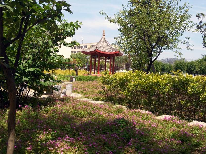 中央电中如何咨询（新发布）