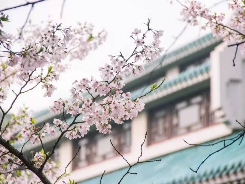 长春市电大中专一年制（新发布）