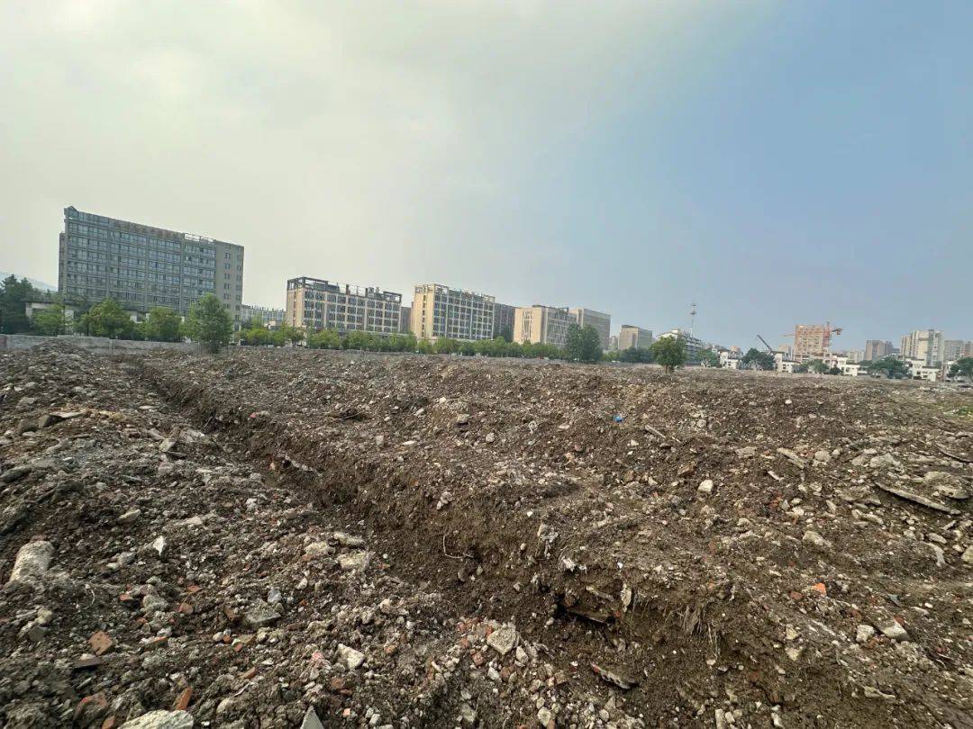 一周前大跌，今天大涨！杭州主城一板块地价上演过山车