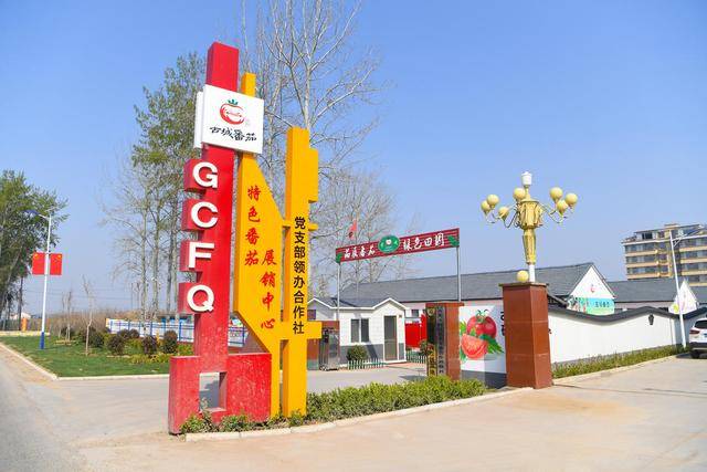 寿光没有秘密——中国蔬菜硅谷的“开源代码”
