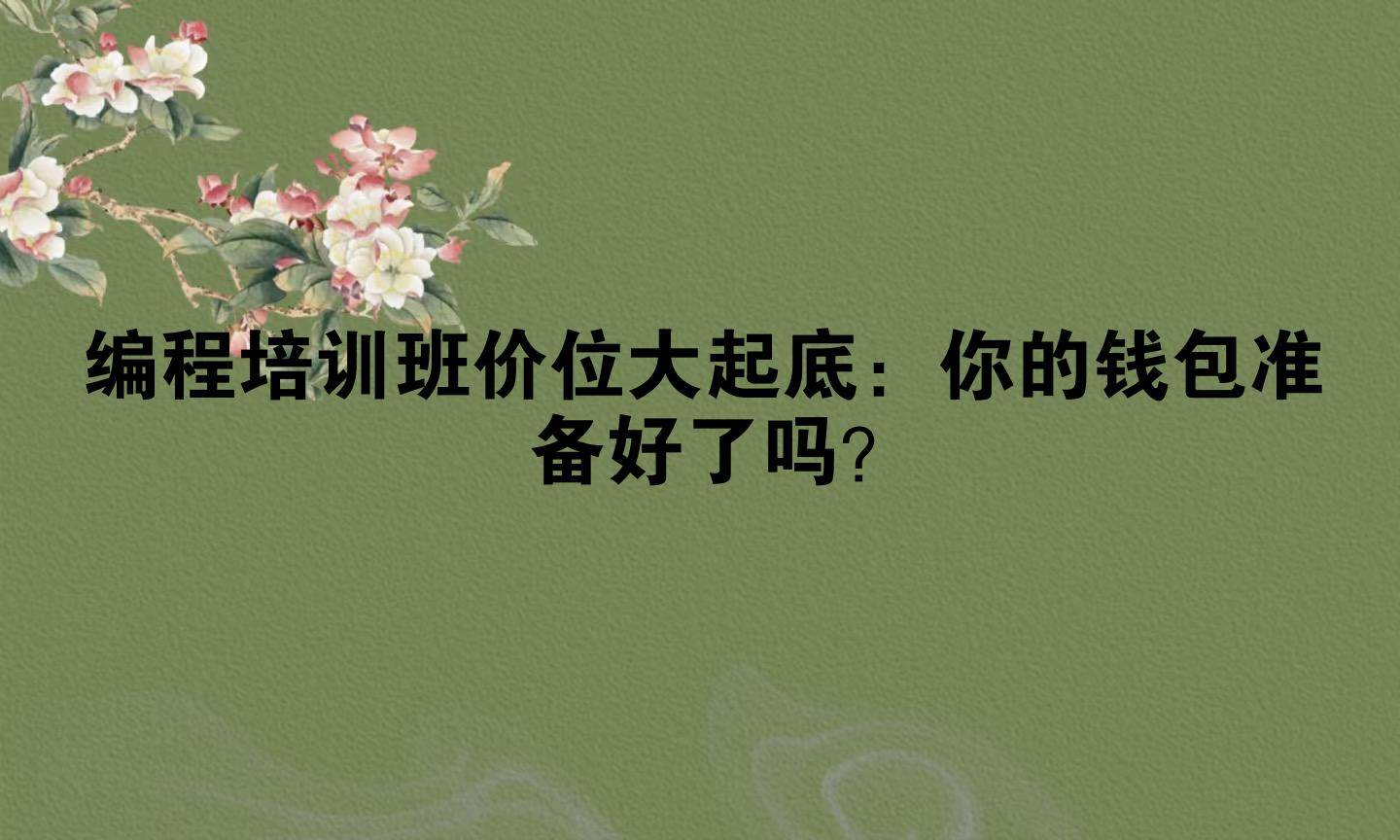 编程培训班价位大起底:你的钱包准备好了吗?