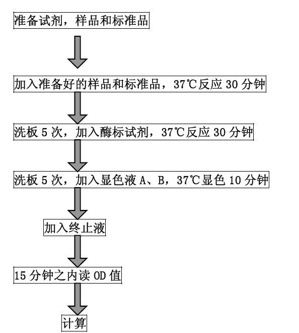 人可溶性血管内皮生长因子受体1(sFlt-1)酶联免疫分析ELISA试剂盒使用说明