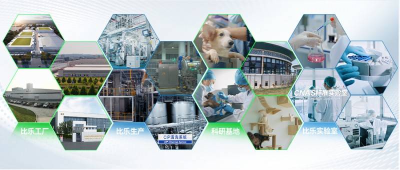 比乐:以“品质力”践行“长期主义”