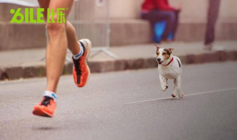 比乐:私域生态与用户叙事,开启情感共鸣新篇章