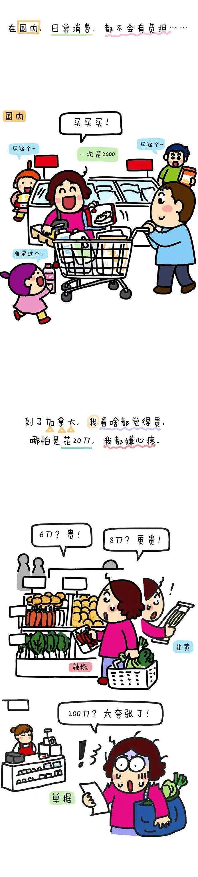 在加拿大消费,自带人民币滤镜。。