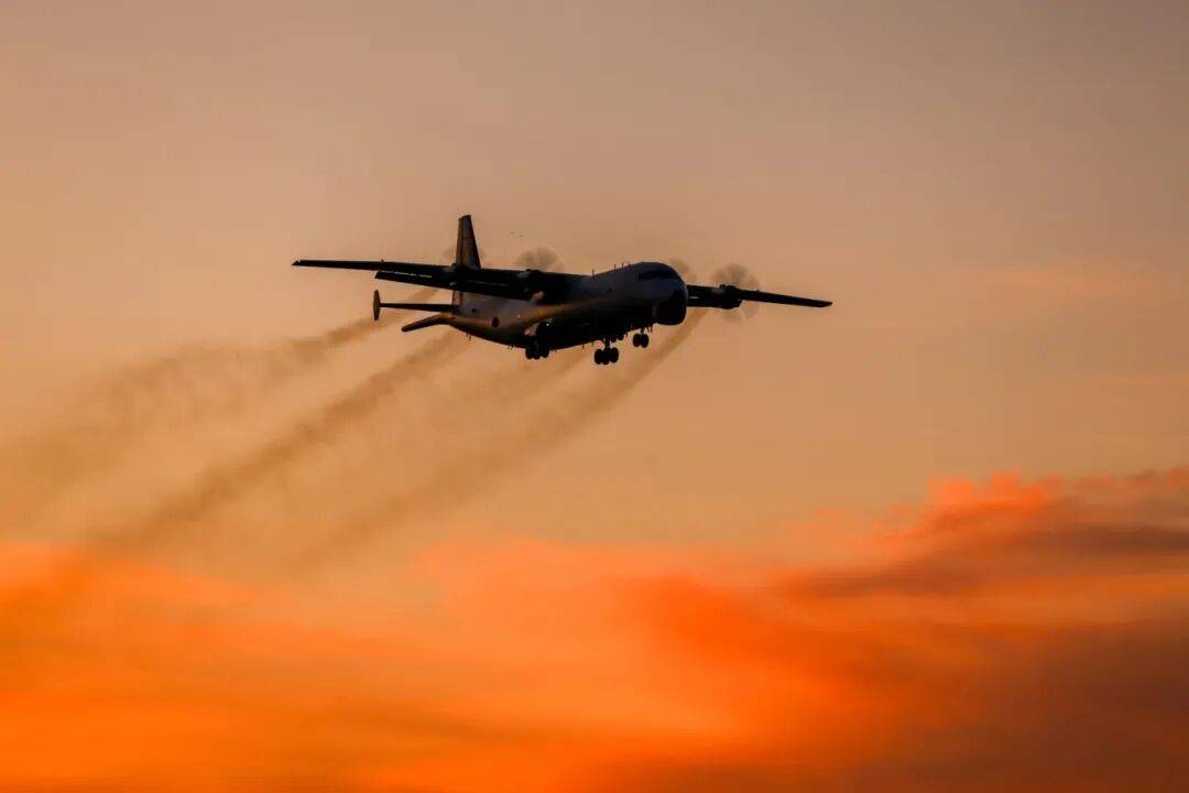 深海布网,云端猎鲨!
