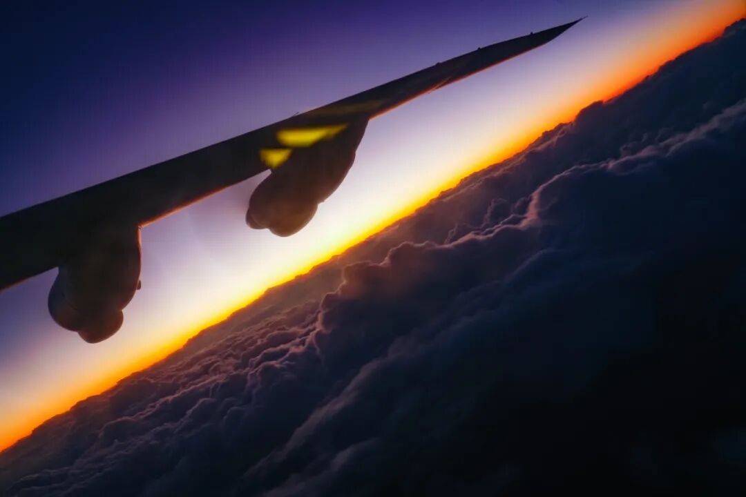 深海布网,云端猎鲨!