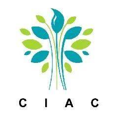 00后新人恐怖如斯,这毕设脑洞,AI都抄不明白吧?