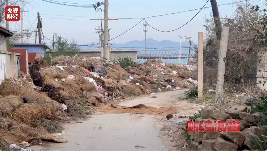 恶臭弥漫、垃圾围村！总台《财经调查》曝光多地违法倾倒乱象→