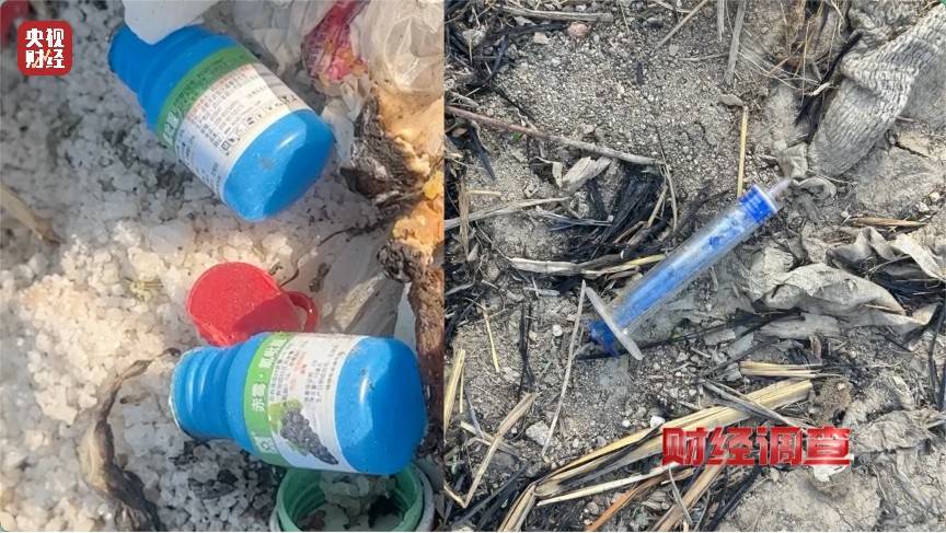 恶臭弥漫、垃圾围村！总台《财经调查》曝光多地违法倾倒乱象→