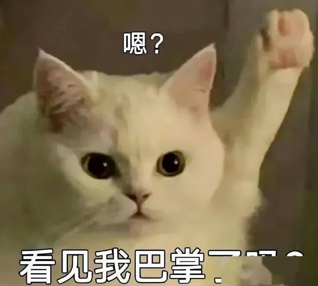 兼职！300—500元/天！