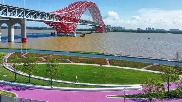 南沙滨海岸线又一高颜值打卡点来啦~快来江畔赏花！