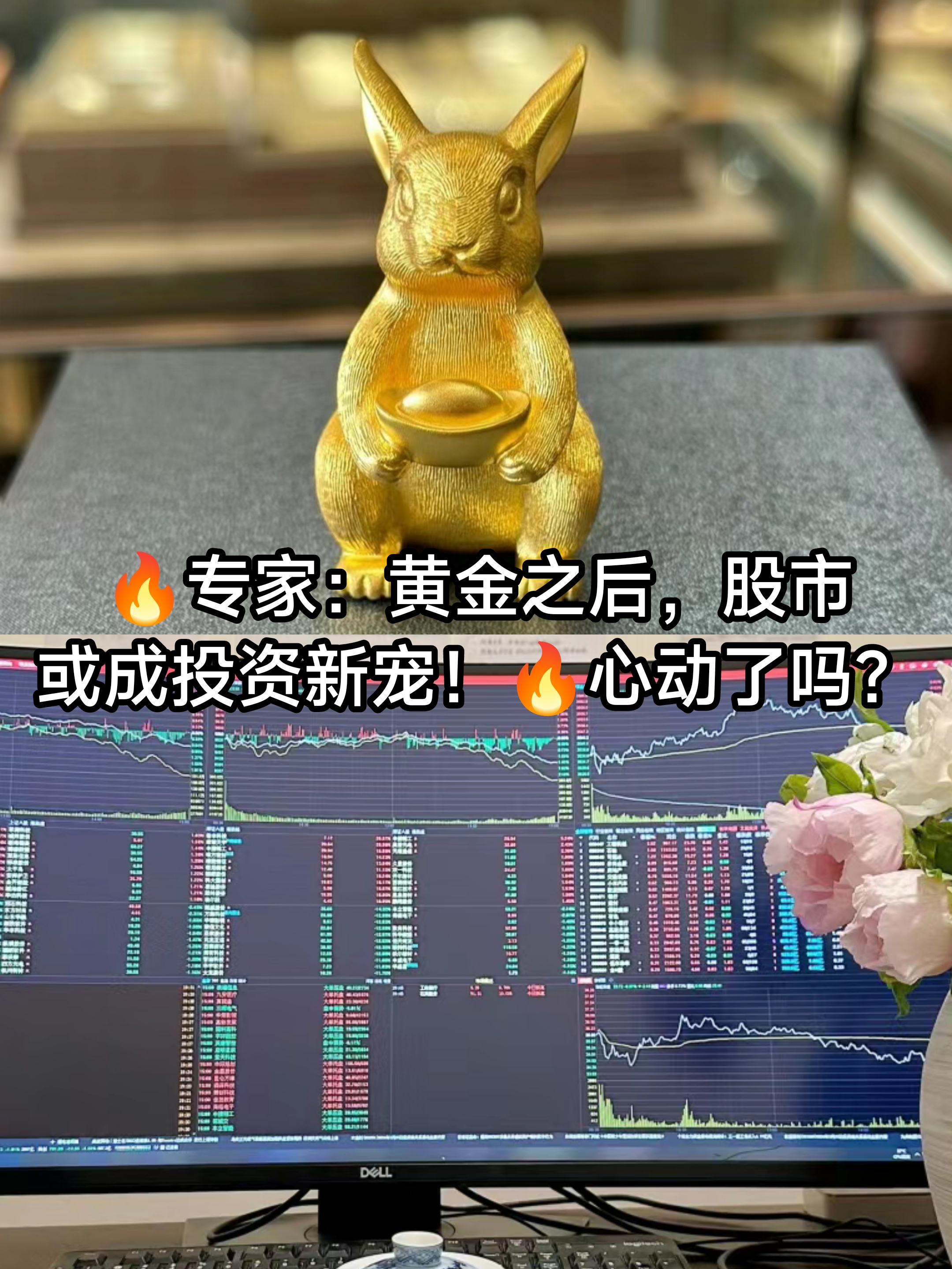 金龙羽股票(金龙羽股票是什么板块的)