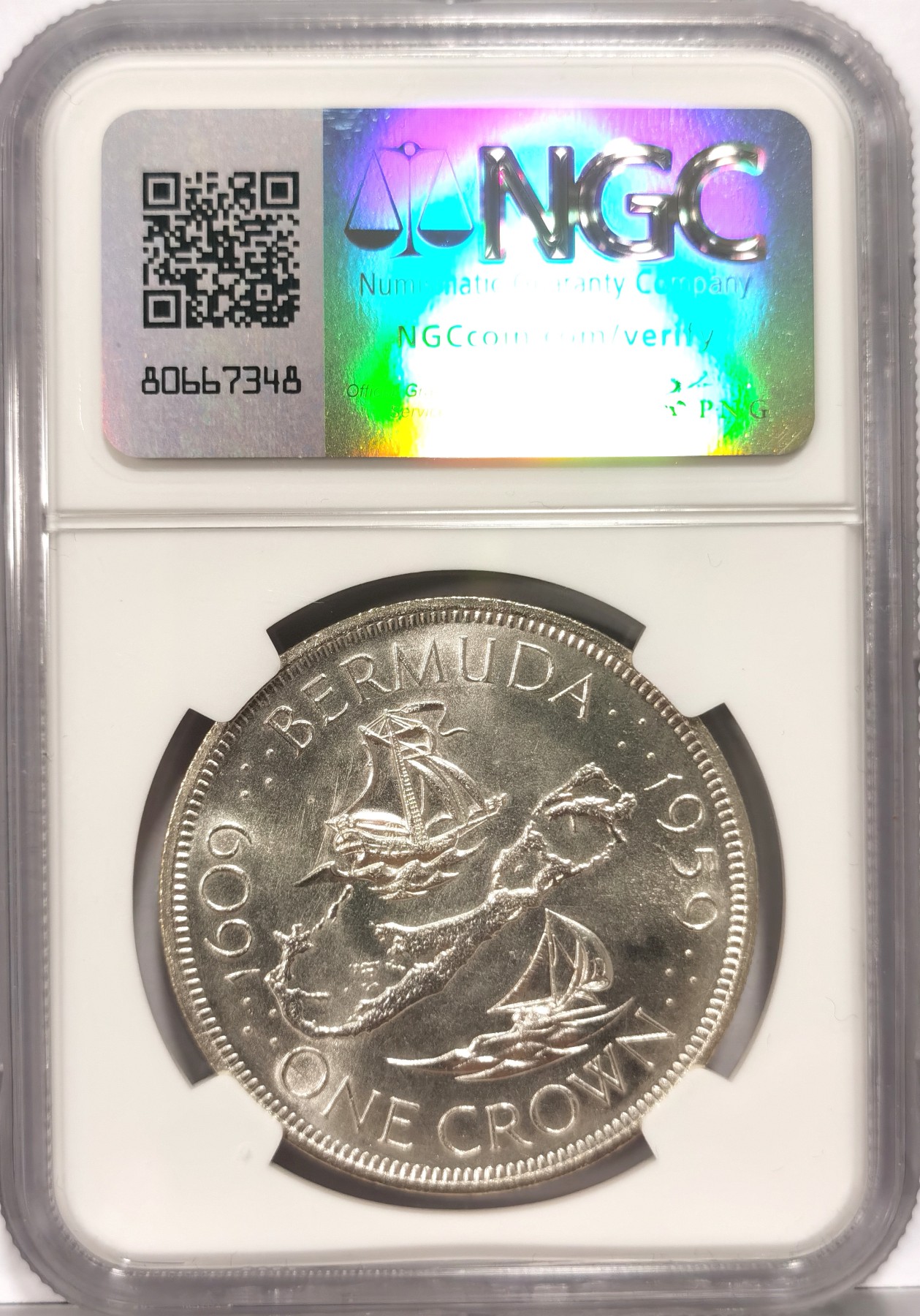 全币白(全币白需要激活吗) 全币白(全币白需要激活吗)