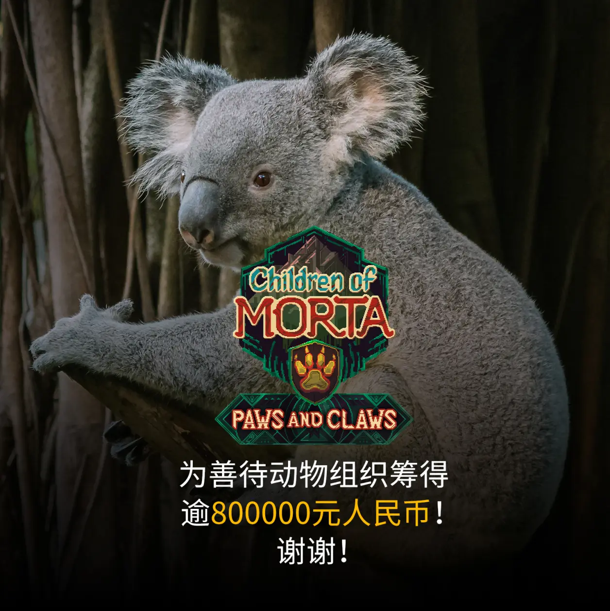 守币人(守币人宣言)